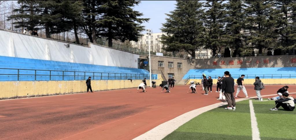 说明: a20c6ae6ba0ffdcfe4a2928f0ae515f